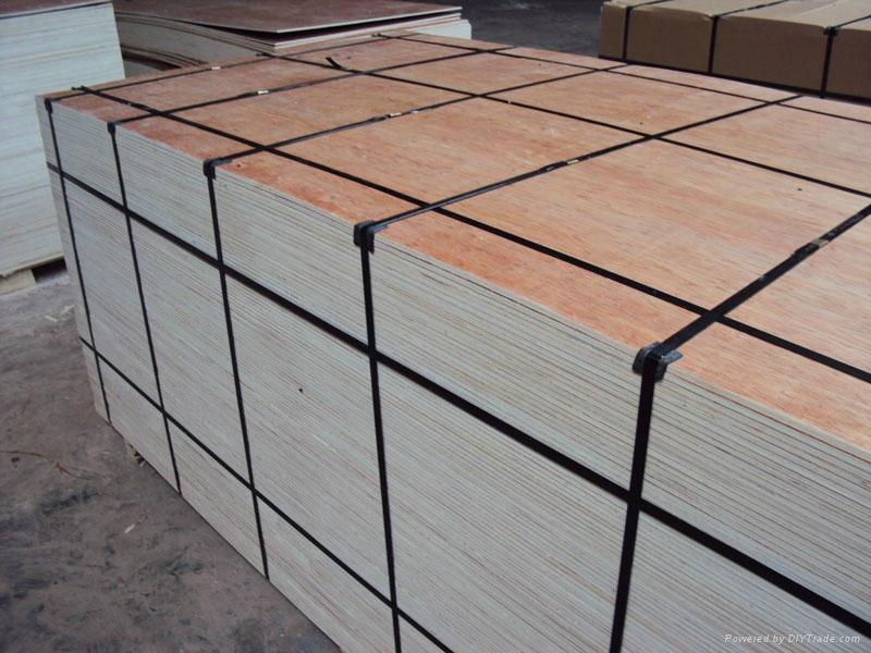 AA grade construction plywood 4