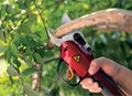 Electric Pruning Shears