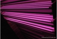 pink  led tube  lights