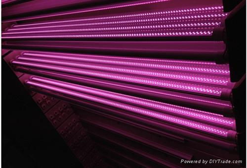 pink  led tube  lights