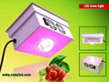 New model 150W cob grow led lights for vegetable and flowering