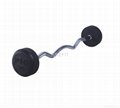 Fixed curl rubber barbell 1