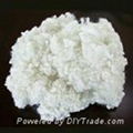 polyester staple fiber