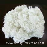 polyester staple fiber