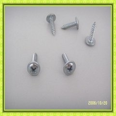 C1022 manufactory self tapping screw