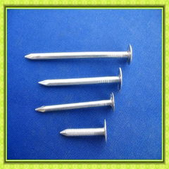 galvanized roofing nail with umbrella head