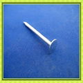 galvanized roofing nail with umbrella head 2