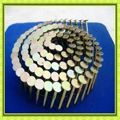 manufactory coil roofing nail