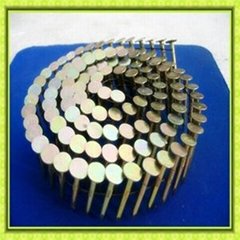 manufactory coil roofing nail 