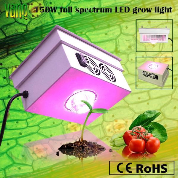 cheap waterproof cob 150w led grow light 2