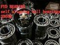 2305M fyd self aligning ball bearings  25mmX62mmX24mm 3