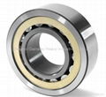 Cylindrical Roller Bearings 2