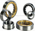 Cylindrical Roller Bearings 5