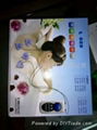 Multifunctional speech therapy instrument  4