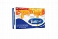 Vanessa Milk Soap 3