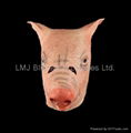 Latex pig mask