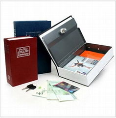 cash safe book