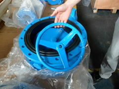 Double Flange Butterfly Valve