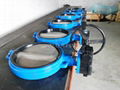 Wafer Butterfly Valve