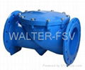 Swing Check Valve 1