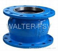 Silent Check Valve