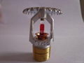 FM Fire Sprinkler 2