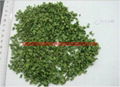 Chinese AD All Green German Chive Rolls 3x3mm 1