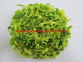 Instant Noddles Green Cabbage Flakes  1