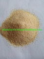 Dehydrated Garlic Granules