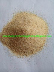 Dehydrated Garlic Granules