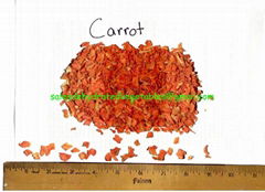 Food Ingredients Carrot Granules 10x10x3mm