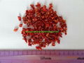 Dehydrated Tomato Granules 1