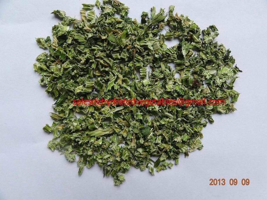 Dehydrated Spices Celery Leaf&Stalk(6:4) Granules 5x5mm