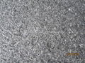 Black Granite Tiles 4