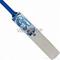 Ca plus big bang KP cricket bat 1