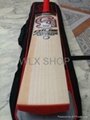 Ca Plus 15000 Players edition Cricket Bat