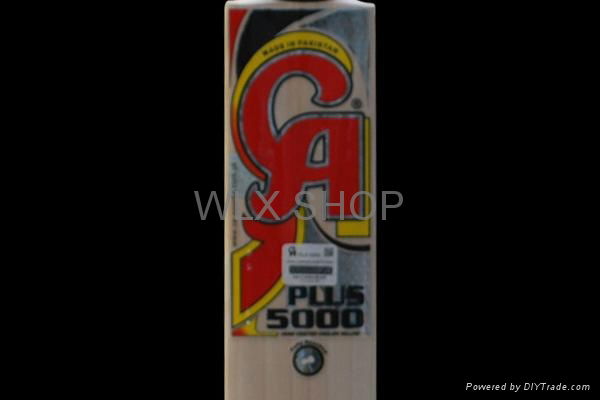 CA PLUS 5000 CRICKET BAT (2014)