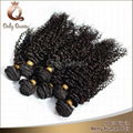 Brazilian hair products virgin human hair curly wave