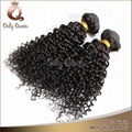 Brazilian hair products virgin human hair curly wave 2