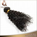 Brazilian hair products virgin human hair curly wave 4