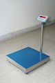 600*600mm ,300kg bench scale ,platform