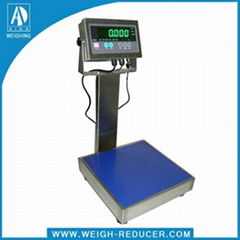 waterproof stainless steel scale