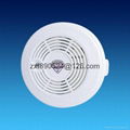 Dual voltage smoke detector