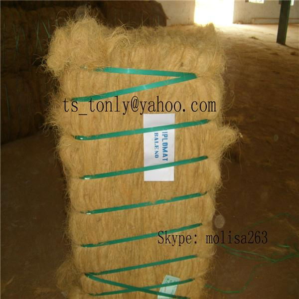 Buy High Quality Coconut Fiber