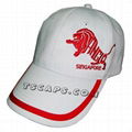 Profesional caps hats supplier golf caps