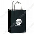 Elegant art paper paper bag with nice