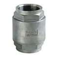 2PC Spring Vertical Check Valve 1