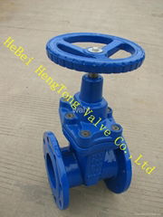 DIN3352 F4 resilient seated gate valve