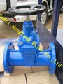 DIN3352 F5 Rubber seal gate valve