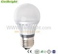 LED Bulb A60/A19 with CE 3